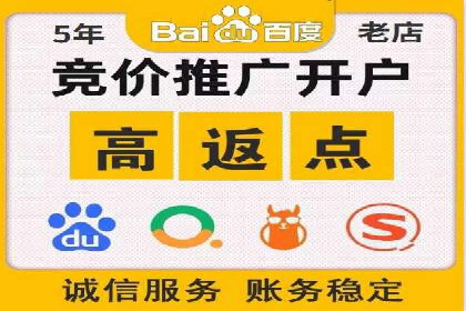 百度竞价排名实战：某电商平台的成功之路